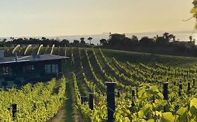 La Bodega Waiheke Island